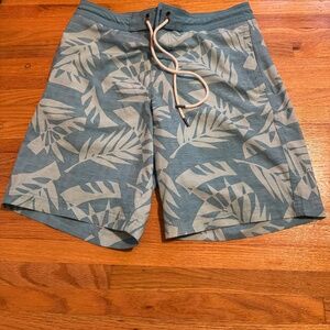 American Eagle Men’s board shorts